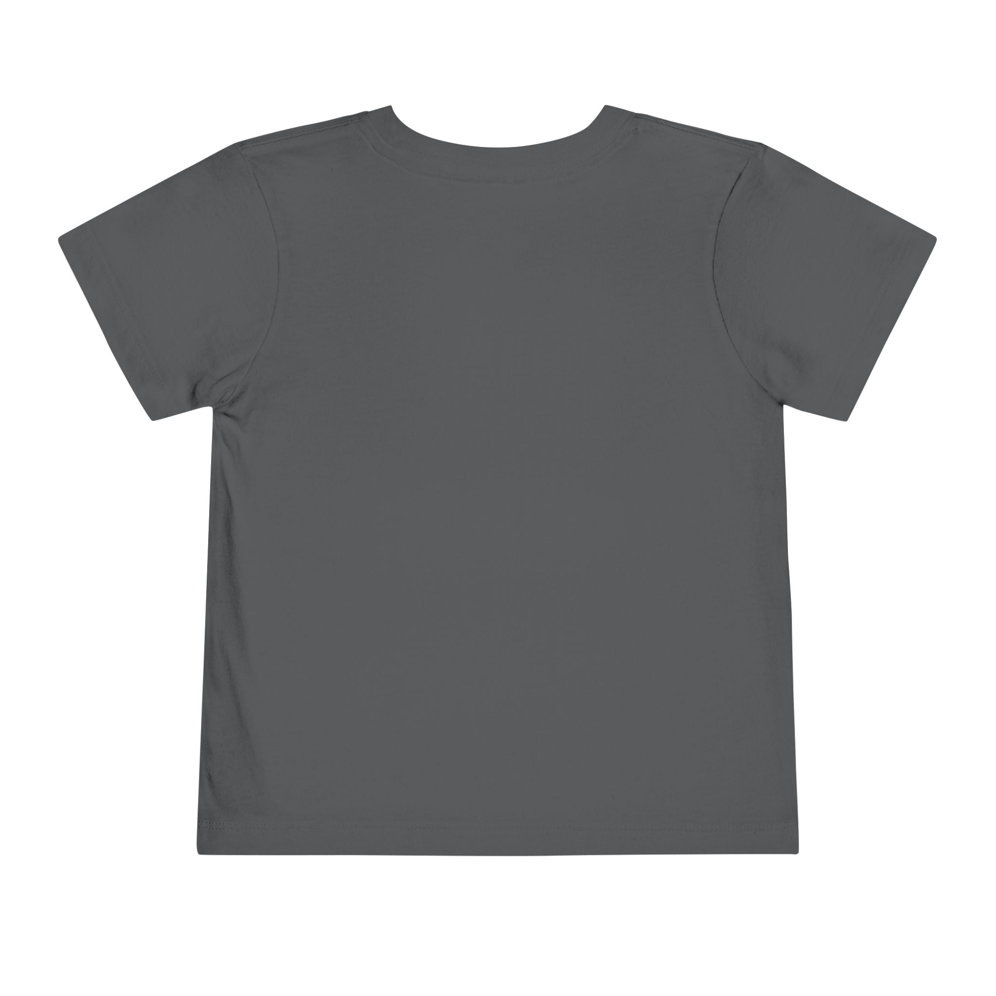 Moonie Toddler Short Sleeve Tee – Curious Fox