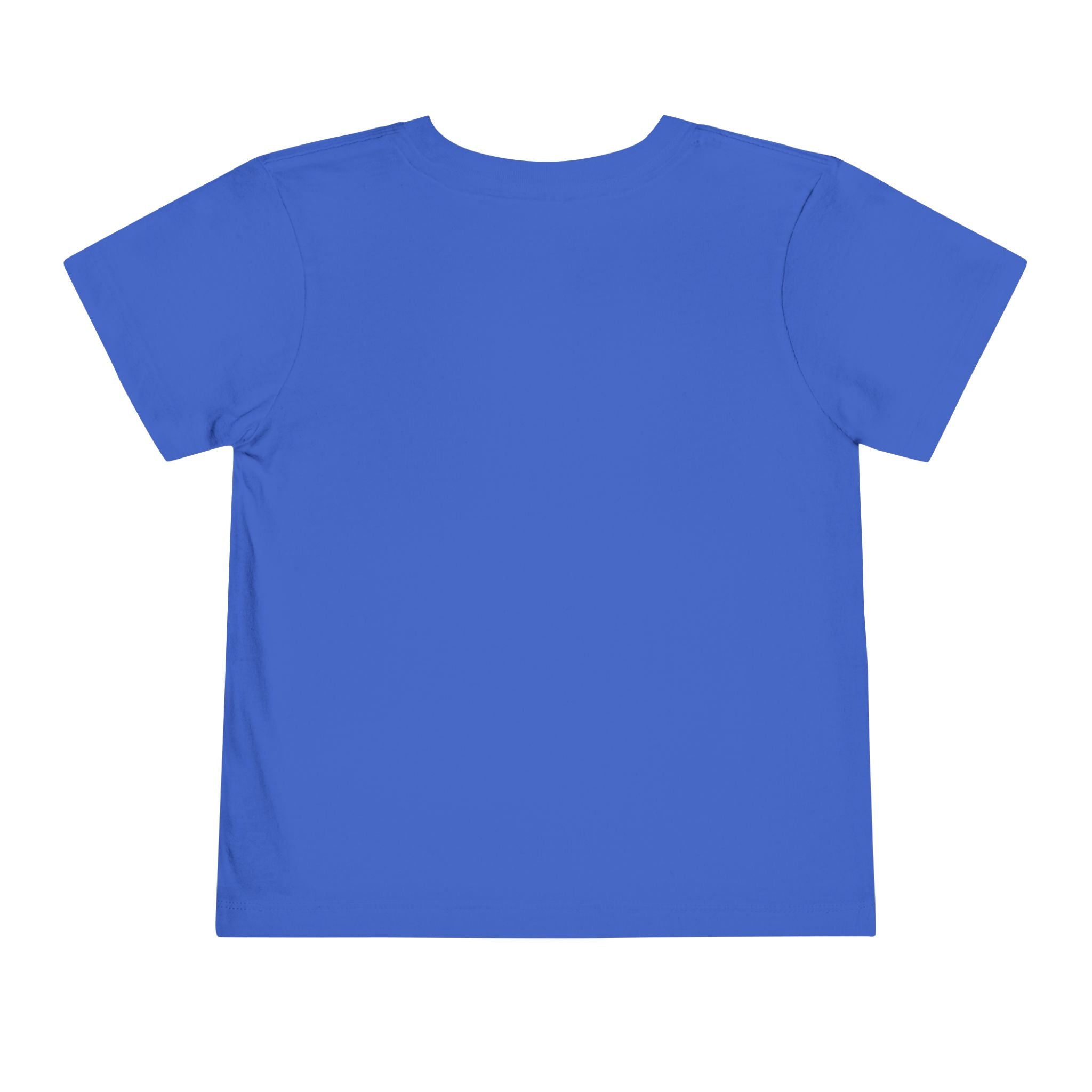 Moonie Toddler Short Sleeve Tee – Curious Fox