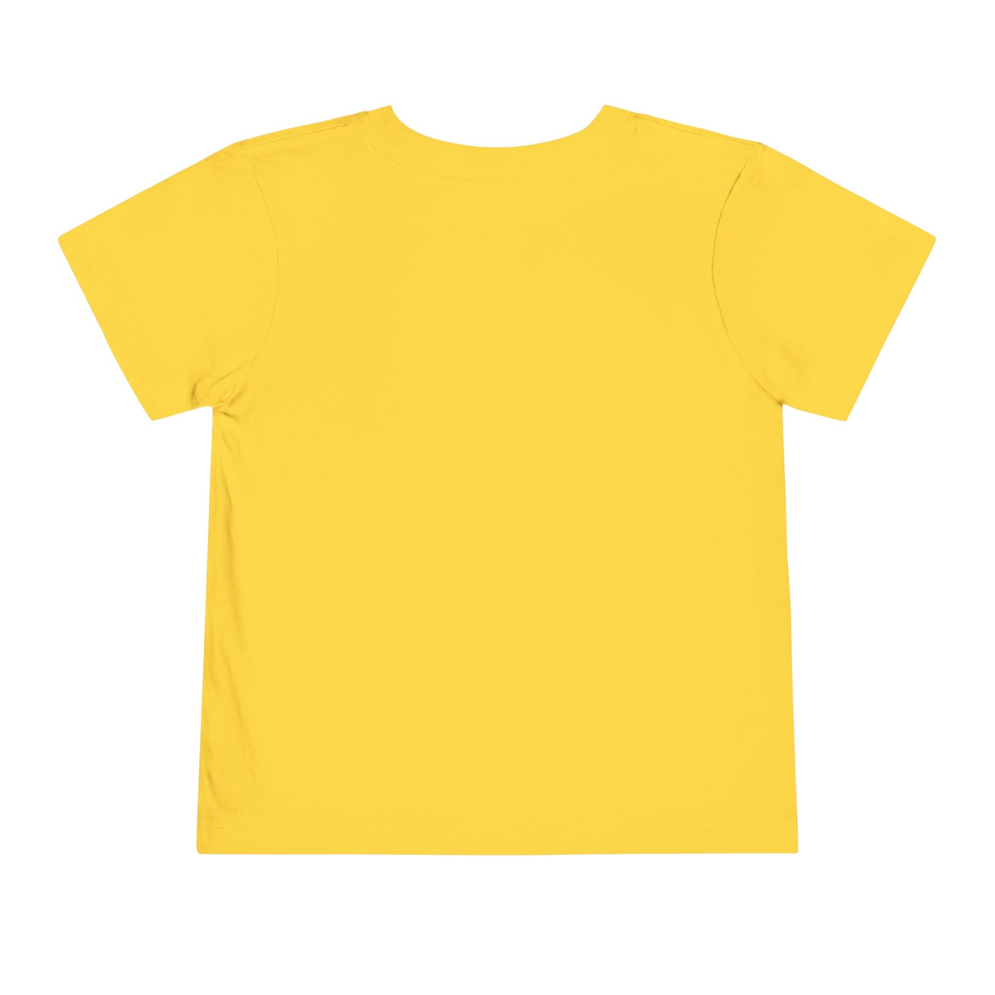 Moonie Toddler Short Sleeve Tee – Curious Fox